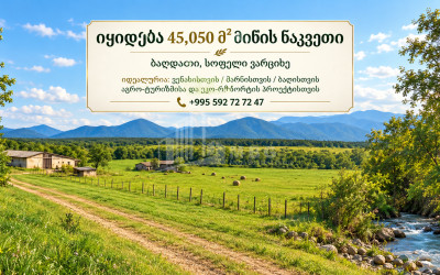 Продается Дачные Земля В Имерети