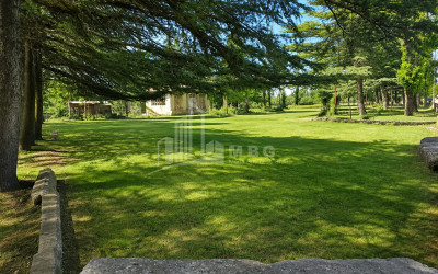 For Sale Commercial - universal Land In Abasha