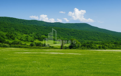 Продается Пахотные Земля В Гомбори, Сагареджо