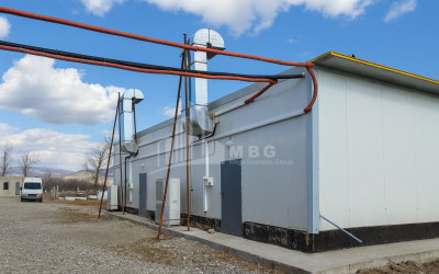 For Sale Mushroom Factory Commercial In Okami, Kaspi
