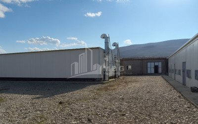 For Sale Mushroom Factory Commercial In Okami, Kaspi
