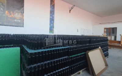 Продается Замок / Винный завод Коммерческий В Гори