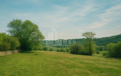 For Sale Old building House - Villa In Shalauri, Telavi
