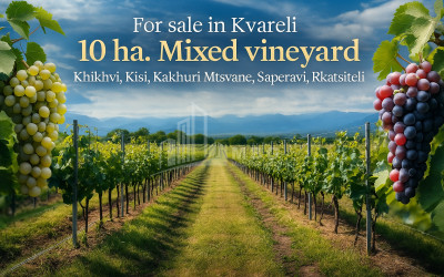 Продается Виноградник - Замковые Земля В Кучатани, Кварели