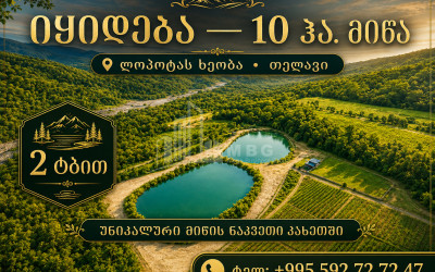Продается Кемпинг / Ранчо Земля В Телави