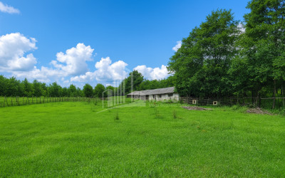 Продается Пахотные Земля В Село Чибати, Ланчхути