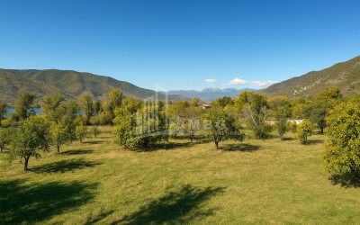 Продается Старое здание Дом - Вилла В Село Чопорте, Душети