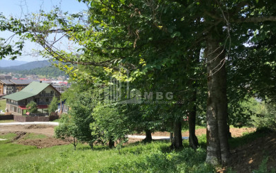 Продается Школа - Лагерь - Отель Коммерческий В Бакуриани, Боржоми