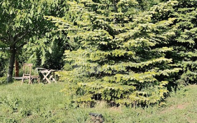 Продается Новостройка Дом - Вилла В Которанткари, Мцхета