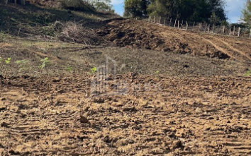 For Sale Blueberry orchard Land In Baileti, Ozurgeti
