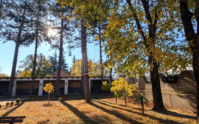 For Sale Chateau / Wine factory Commercial In Akhmeta
