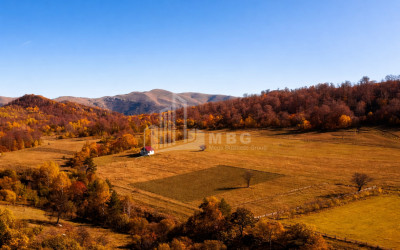 For Sale Country Land In Zemo Gostibe, Kaspi