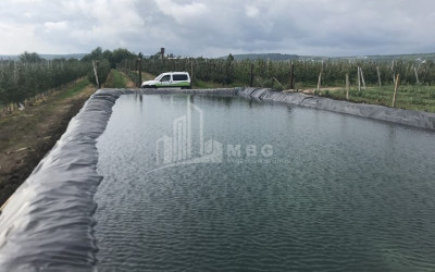 Продается Фруктовые сад Земля В Марнеули