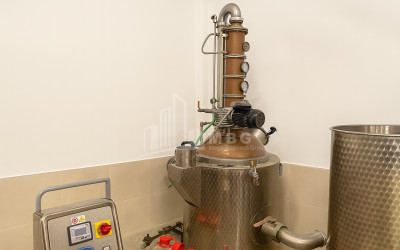 For Sale Chateau / Wine factory Commercial In Does, Kaspi
