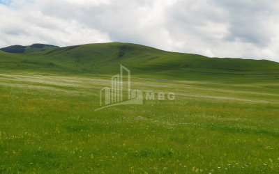 Продается Фруктовые сад Земля В Город Дманиси, Дманиси